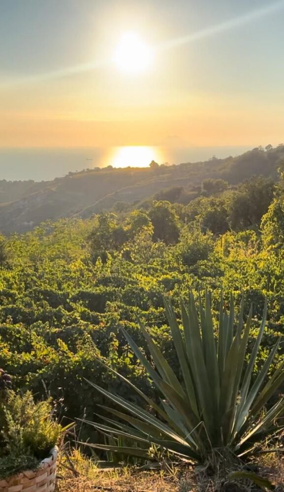 WhatsApp Image 2024-11-26 at 15.02.45